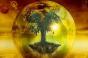 بلوط درختی جهان  درخت جهان  به گفته اسلاوها
